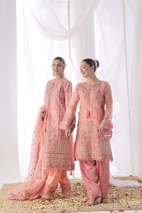 ILĀĀN – Luxury Unstitched 3 Piece Embroidered Organza Dress