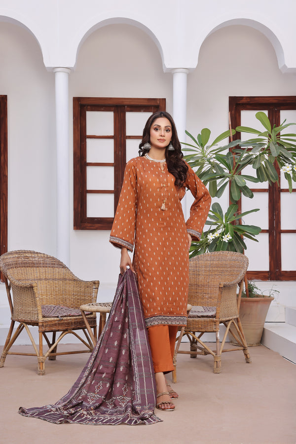 Stitched Fancy Embroidered Chikankari Lawn