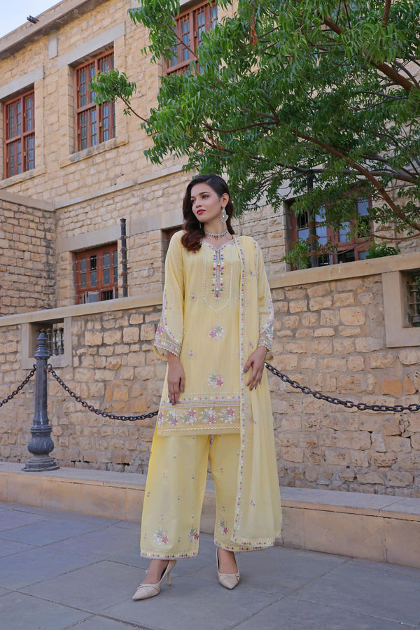 BASANT – Stitched Luxury Embroidered BanaDora Lawn Collection with Chiffon Dupatta & Embroidered Cotton Trousers