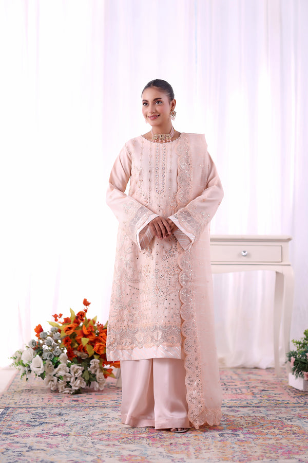 CHANDNI - Embroidered Aiyudiya Net (Blush Whisper)