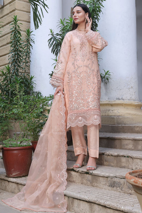 Stitched 3 Piece Embroidered Luxury Organza Collection